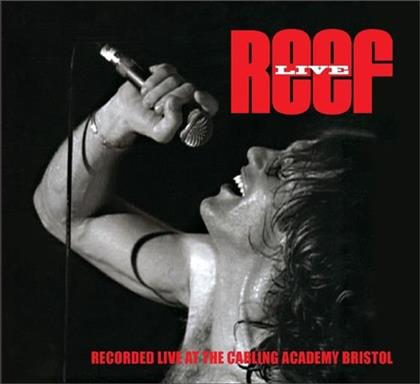 Reef - Live-Recorded At The Carling Academy Berlin (CD + DVD)