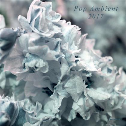Pop Ambient - Various 2017 (LP)