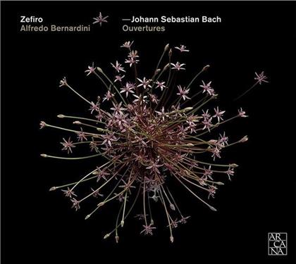 Zefiro, Johann Sebastian Bach (1685-1750) & Alfredo Bernardini - Ouvertures