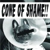 Faith No More - Cone Of Shame - 7 Inch, Clear Vinyl (7" Single)