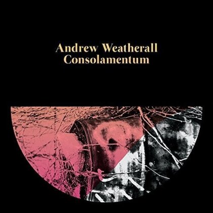 Andrew Weatherall - Consolamentum (LP)