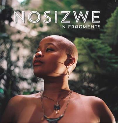 Nosizwe - In Fragments - Limited Transparent Orange Vinyl (Colored, LP)