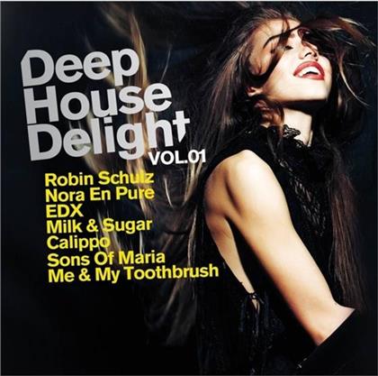 Deep House Delight - Vol. 1 (2 CDs)
