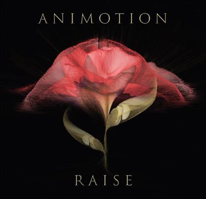 Animotion - Raise Your Expectations (LP)