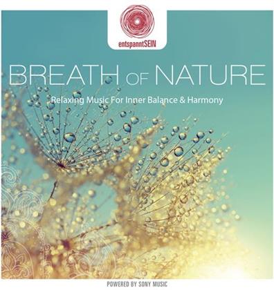 Davy Jones (New Age) - Entspanntsein - Breath Of Nature