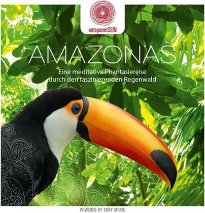 Stephanie P. Erkens - Entspanntsein - Amazonas