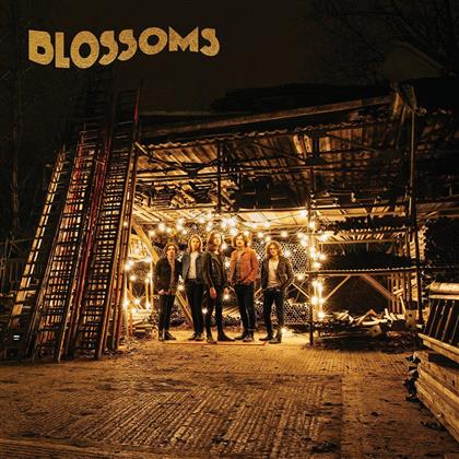 Blossoms - --- (LP)