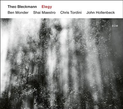 Theo Bleckmann - Elegy
