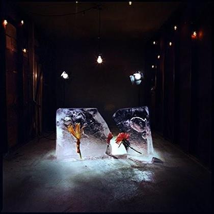 Shy Girls - Salt (LP)