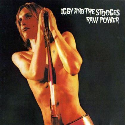 Iggy & The Stooges - Raw Power (2 LPs)
