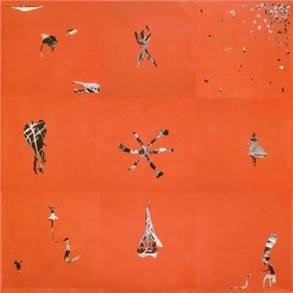 Animal Collective - Hollinndagain (LP)