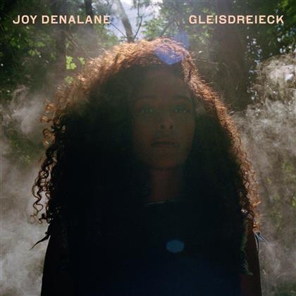Joy Denalane - Gleisdreieck - Gatefold (2 LPs + Digital Copy)