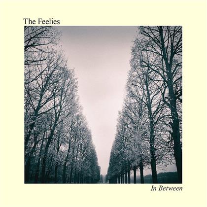 The Feelies - In Between
