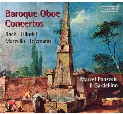 Il Gardellino Baroque Orchestra, Alessandro Marcello (1684-1750), Johann Sebastian Bach (1685-1750), Georg Philipp Telemann (1681-1767), … - Baroque Oboe Concertos