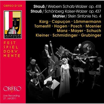 Renaud Capuçon, Katja Lämmermann, Antoine Tamestit, Clemens Hagen, Alois Posch, … - Schatz-Walzer op. 418, Kaiser-Walzer op. 437, Sinfonie No. 4 G-Dur - Kammermusik-Version - Mozarteum 27. Juli 2011