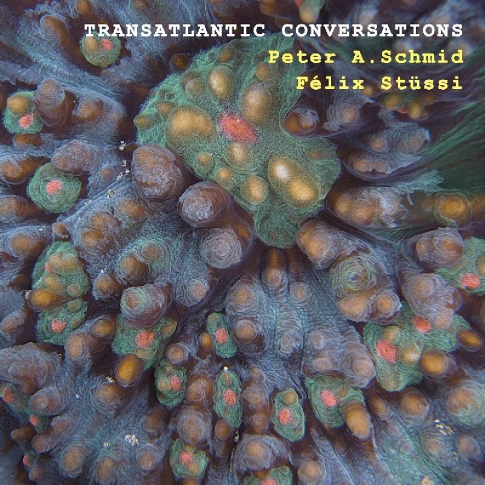 Peter A. Schmid & Felix Stüssi - Transatlantic Conversations