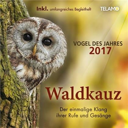 Der Waldkauz - Vogel des Jahre 2017 - Rufe ohne Musik