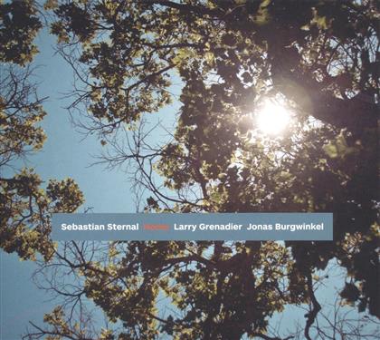 Sebastian Sternal, Grenadier Larry & Jonas Burgwinkel - Home