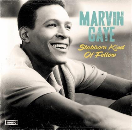 Marvin Gaye - Stubborn Kind Of Fellow - 2017 Reissue (LP)