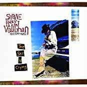 Stevie Ray Vaughan - The Sky Is Crying - 2017 Reissue, Analogue Productions (2 LPs)