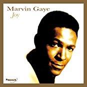 Marvin Gaye - Joy - Reissue