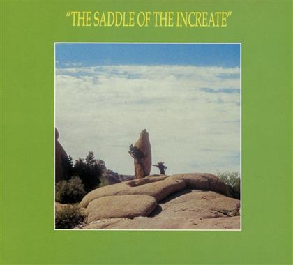 Sun Araw - The Saddle Of The Increate