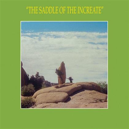 Sun Araw - The Saddle Of The Increate (2 LPs)