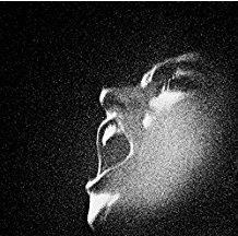 Oiseaux-Tempete - Al-An (LP)