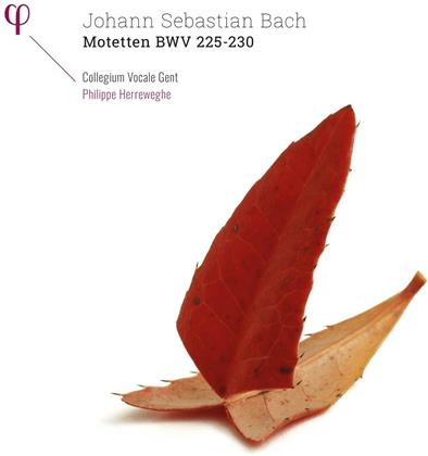 Dorothee Mields, Robin Blaze, Peter Kooy, Johann Sebastian Bach (1685-1750), Philippe Herreweghe, … - Motetten Bwv 225-230 (2 LPs)