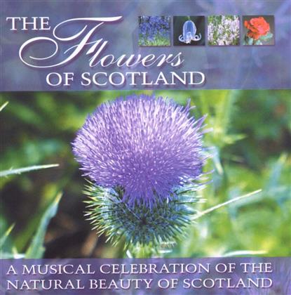 Flowers Of Scotland - Various