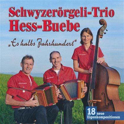 Hess-Buebe Schwyzerörgeli-Trio - Es Halbs Jahrhundert