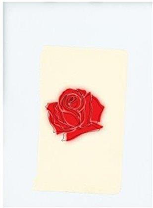 Lany - ---