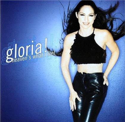 Gloria Estefan - Heaven's What I Feel (12" Maxi)