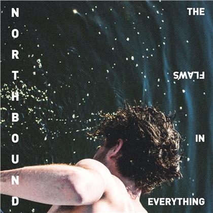 Northbound - Flaws In Everything (LP)