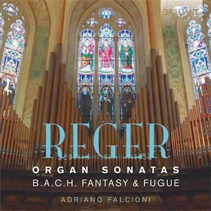 Adriano Falcioni & Max Reger (1873-1916) - Organ Sonatas - Orgelsonaten