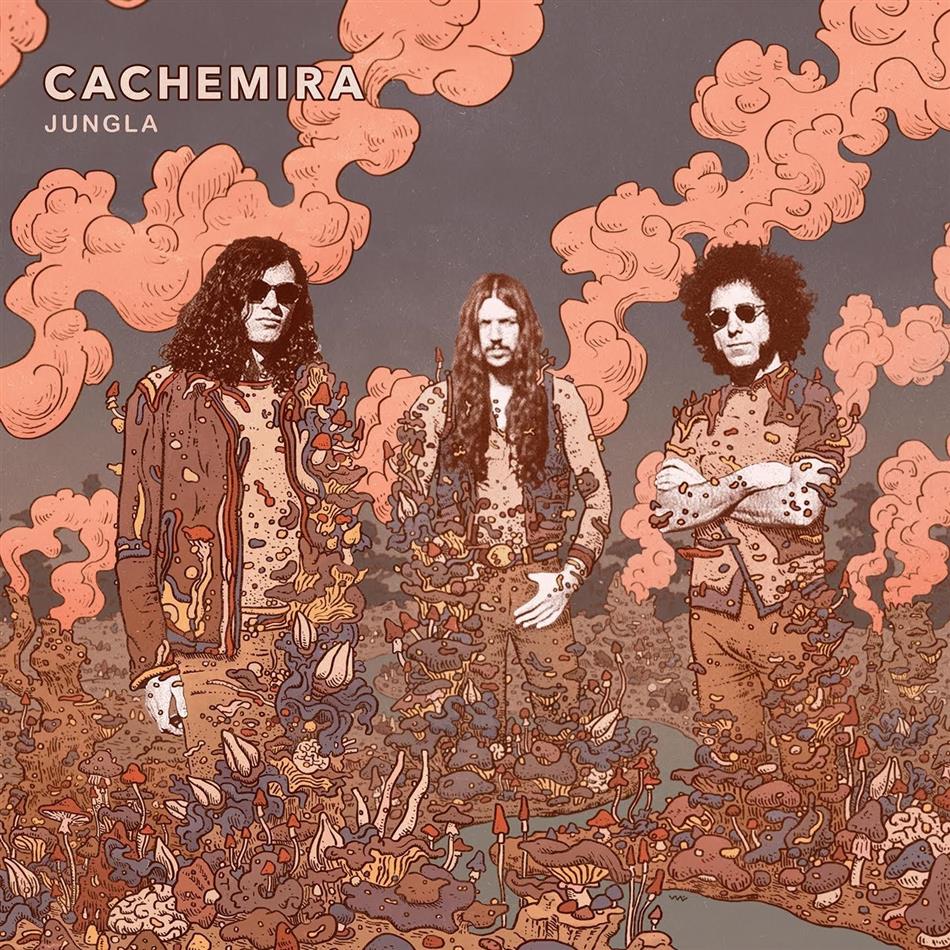 Cachemira - Jungla (Colored, LP)