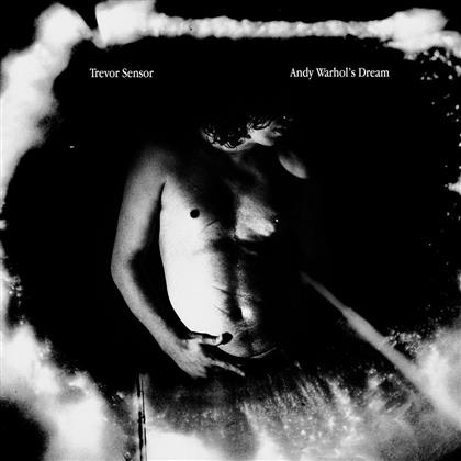 Trevor Sensor - Andy Warhols Dream