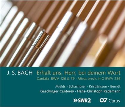 Dorothee Mields, Benno Schachtner, Johann Sebastian Bach (1685-1750), Hans-Christoph Rademann & Gächinger Kantorei Stuttgart - Erhalt Uns Herr, Bei Deinem Wort - Missa brevis BWV 236 +Kantaten BWV 79 & 126