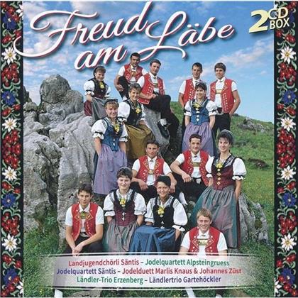 Säntis Landjugendchörli & Jodelquartett Säntis - Freud Am Läbe (2 CDs)