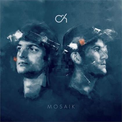 Camo & Krooked - Mosaik (2 LPs)