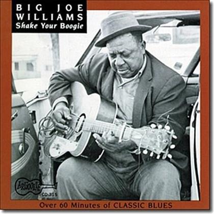 Big Joe Williams - Shake Your Boogie