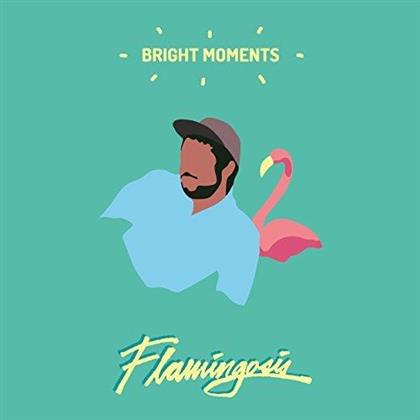 Flamingosis - Bright Moments (LP)