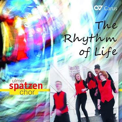 Die Ulmer Spatzen - The Rhythm Of Life