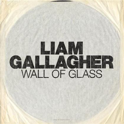 Liam Gallagher (Oasis/Beady Eye) - Wall Of Glass - 7 Inch (7" Single)