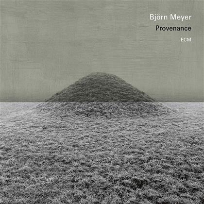 Björn Meyer - Provenance