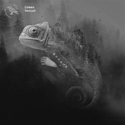 Camea - Vanish (12" Maxi)