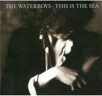 The Waterboys - This Is The Sea (Collectors Edition, 2 CDs)