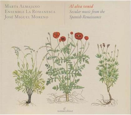 Marta Almajano, Ensemble La Romanesca & Jose Miguel Moreno - Al Alva Venid