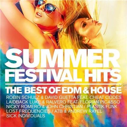 Summer Festival Hits (2 CDs)