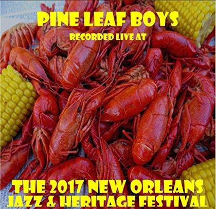 Pine Leaf Boys - Live At Jazzfest 2017